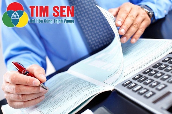 dich vu bao cao thue tron goi 2 - DỊCH VỤ KẾ TOÁN THUẾ TRỌN GÓI - BÁO CÁO THUẾ