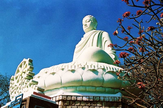 Kinh nghiệm du lịch Bà Rịa Vũng Tàu chi tiết từ A đến Z