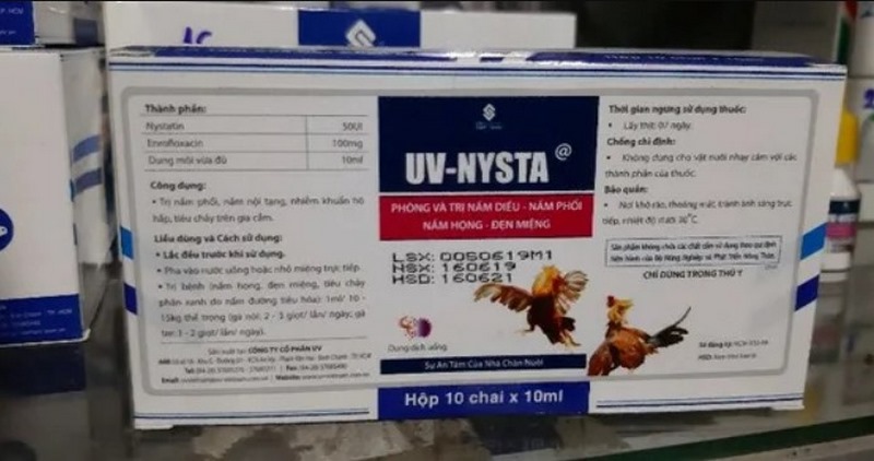 Gà gáy không gây tiếng động - 3 nguyên nhân và cách giải quyết - Thế giới chọi gà