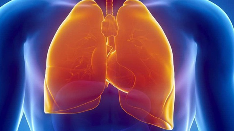 Top 13 thực phẩm chức năng phổi hiệu quả nhất 2024