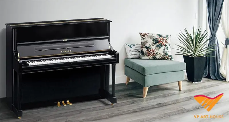 Giá đàn piano cho người mới học là bao nhiêu?